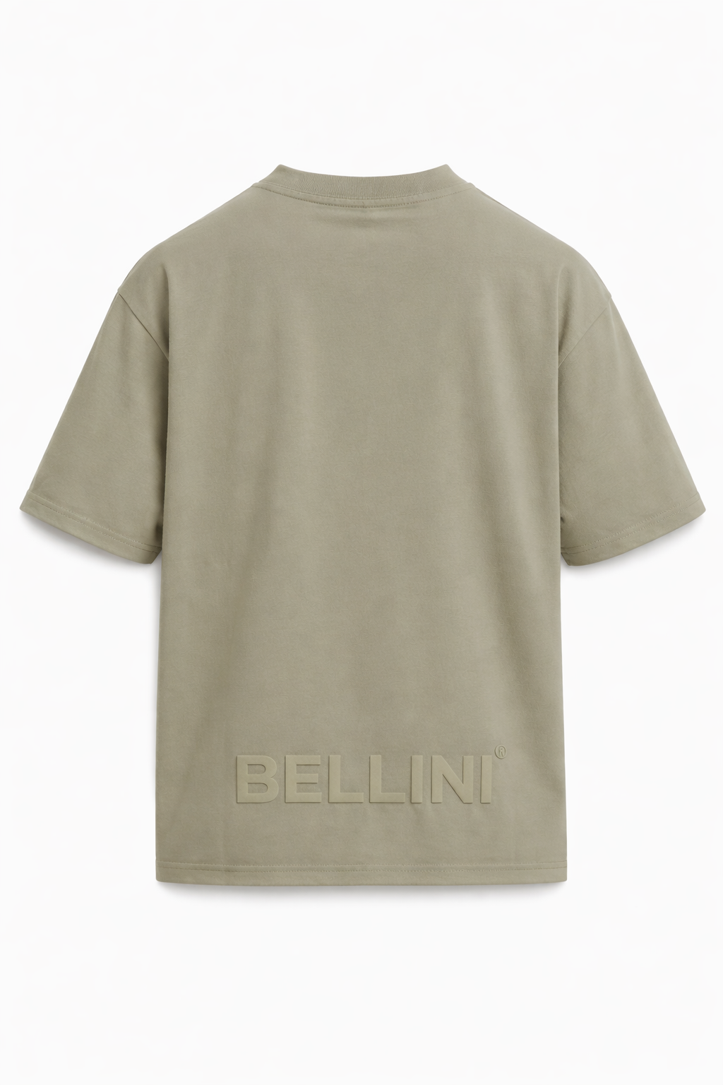 Camiseta Oversize ISOLA VIVA - Verde salvia